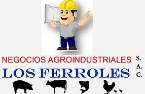empresa1